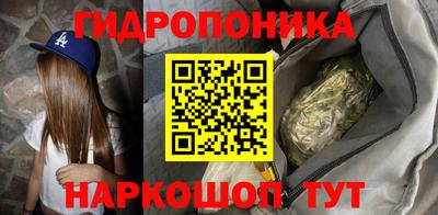 прущий лед Кингисепп